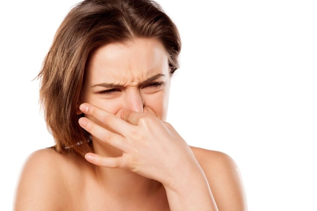 Why Does My Clean Toilet Smell Bad? Rowsons Plumbing